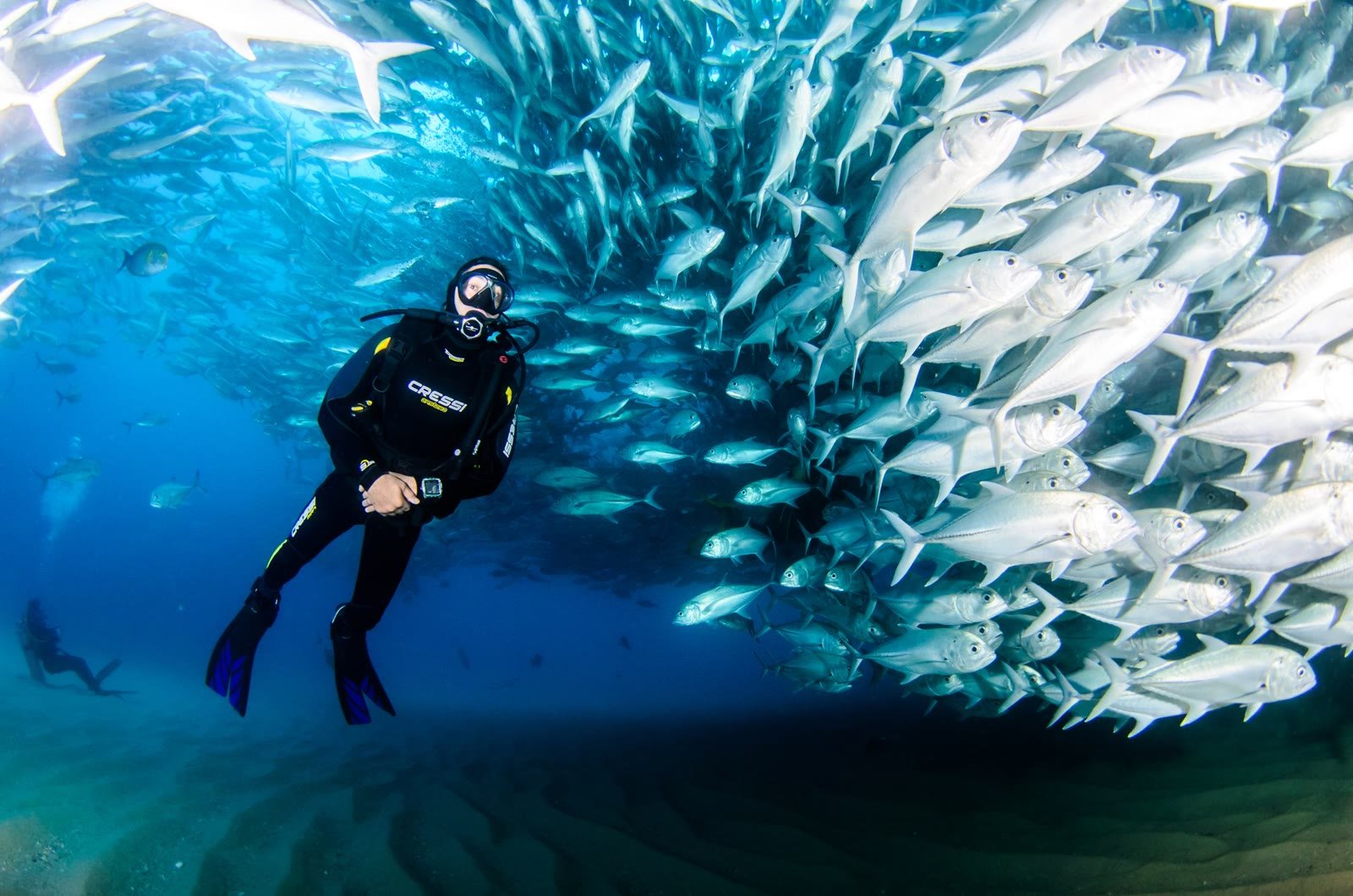 Scuba diver beside a school of fish in clear blue water