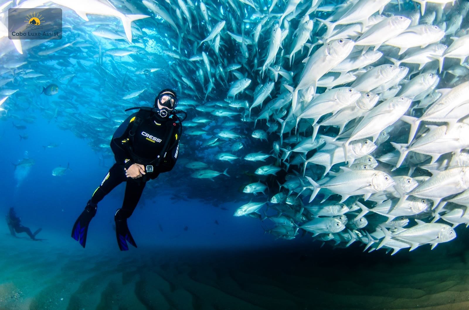 Scuba diver with CRESSI kit beside a school of silvery jacks in clear Cabo water