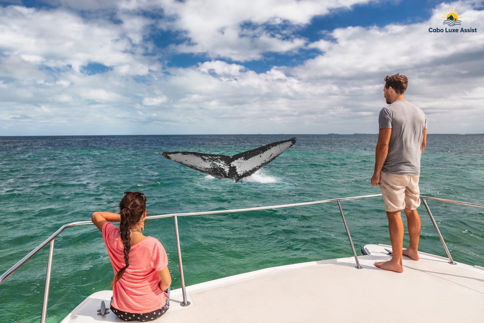 Whale fluke and turquoise water on a private whale watch off Cabo